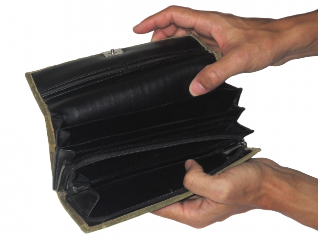 日本の生活保護費は高いのだろうか