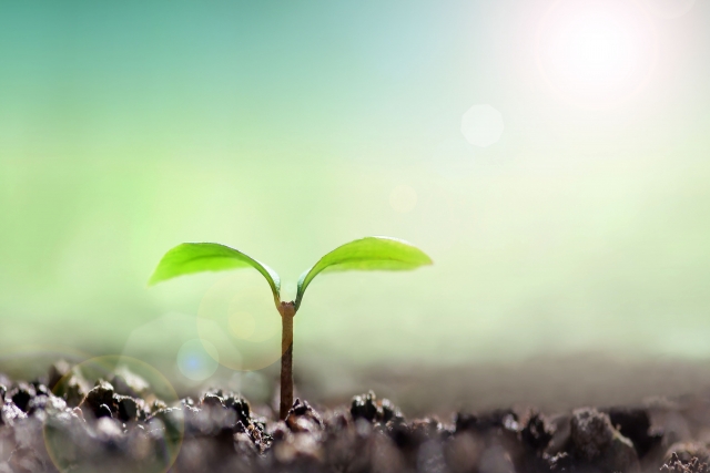 ③実際に生活保護を受けた話、その一部始終【生活保護の決定】